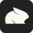 Pika Labs Apex icon